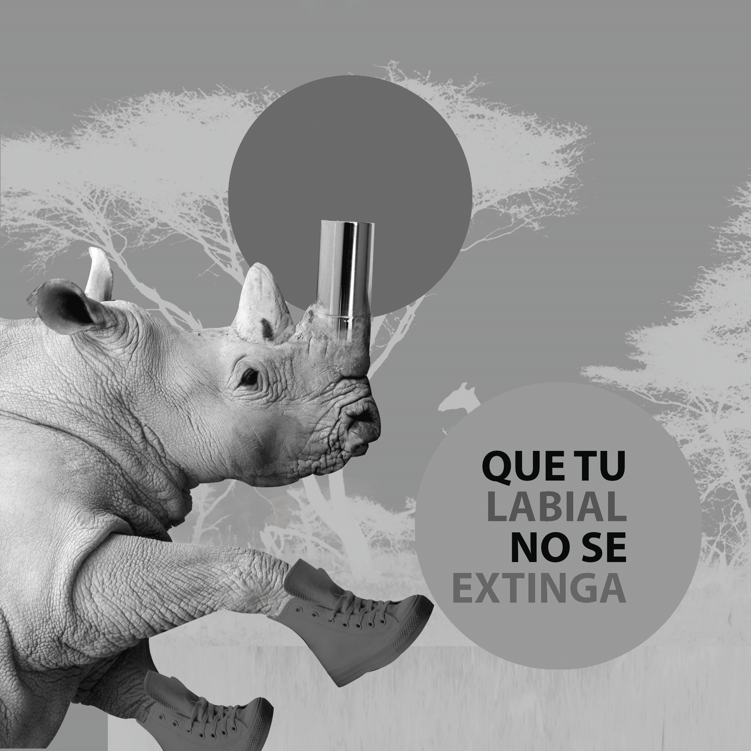 Campaña cosmética gif