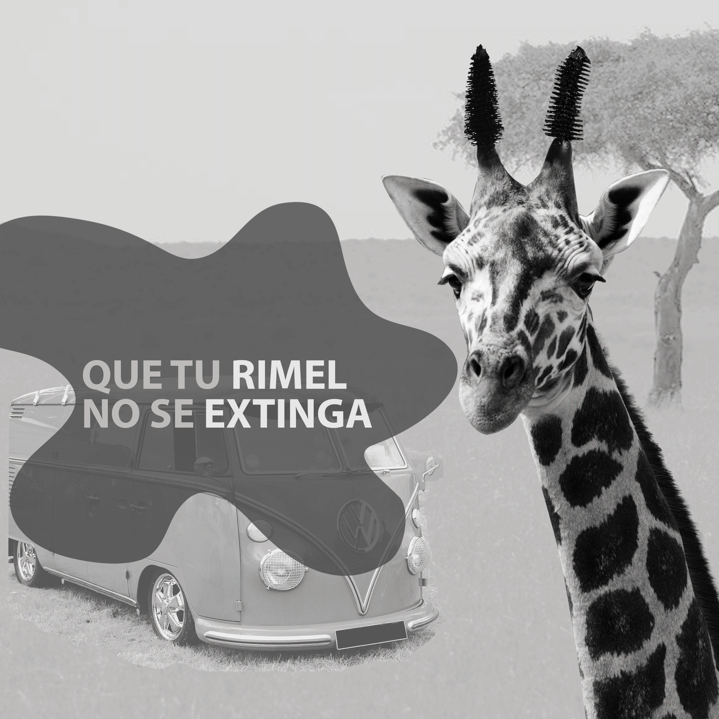 Campaña cosmética gif